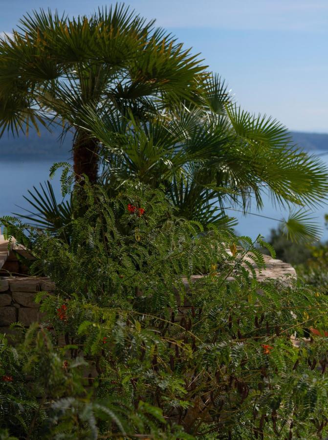Bellina Villa Agnitsini Luaran gambar